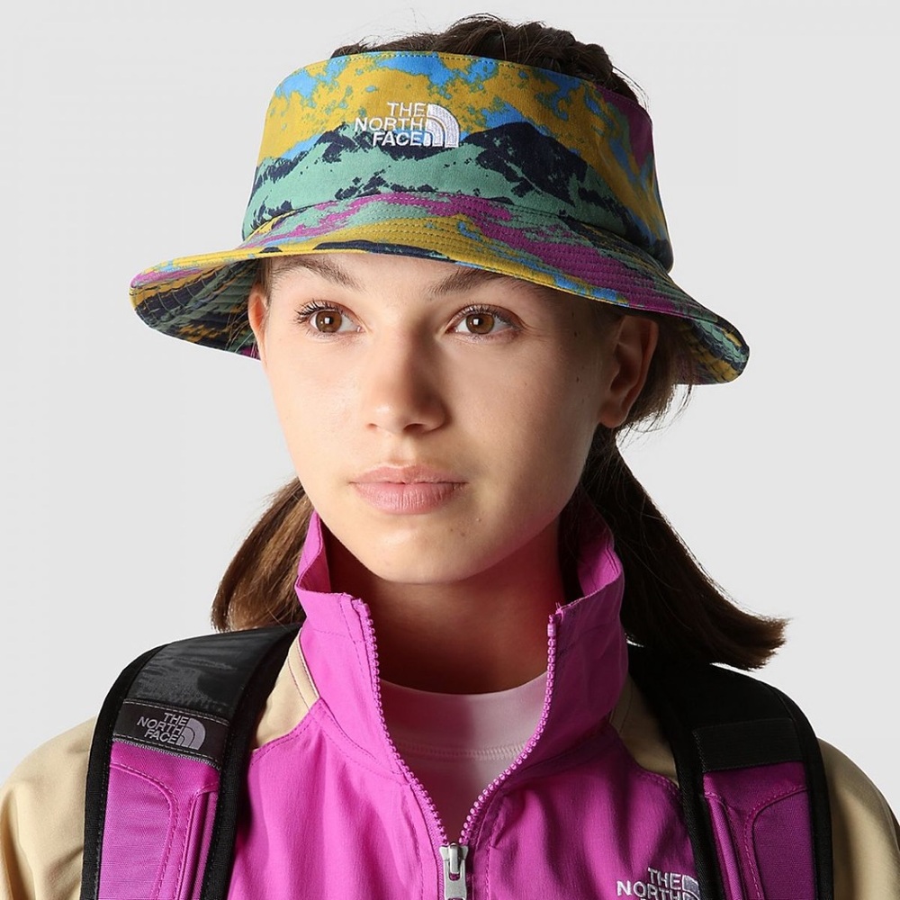 The north face hat